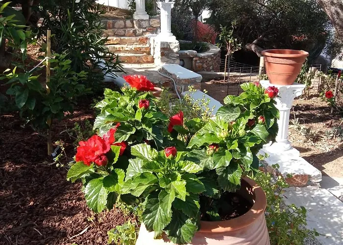 Franziska - 1 Naoussa